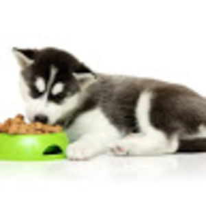 Meet your Posher, Aaliyah